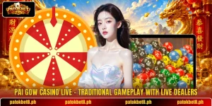 Pai Gow Casino Live – Traditional Gameplay With Live Dealers